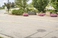 Cityscape of Toronto: Public Space in a Park