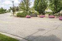 Cityscape of Toronto: Public Space in a Park