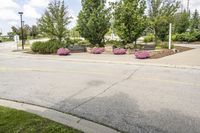 Cityscape of Toronto: Public Space in a Park