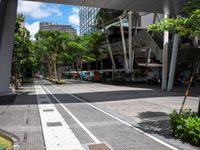 an image of a street that is surrounded by trees and buildings in the background there are two trees next to the road