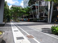 an image of a street that is surrounded by trees and buildings in the background there are two trees next to the road