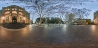 the view of a city from under a tree in wintertime on a panoramic lens