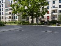 a paved area with a clock in the middle of it and lots of trees around it