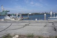 the plants are on the sidewalk in front of the docks in the foreground is the city with boats, and a large rock sitting area for ships and a building