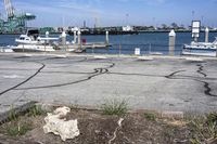 the plants are on the sidewalk in front of the docks in the foreground is the city with boats, and a large rock sitting area for ships and a building