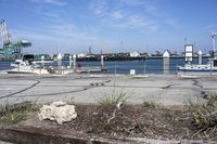 the plants are on the sidewalk in front of the docks in the foreground is the city with boats, and a large rock sitting area for ships and a building