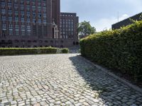 the ground is covered in gray cobblestone with buildings on each side and a clock tower