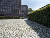 the ground is covered in gray cobblestone with buildings on each side and a clock tower