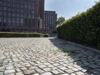 the ground is covered in gray cobblestone with buildings on each side and a clock tower