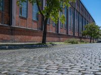 Classic Architecture in Berlin: Cobblestone Streets and Brick Walls