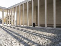 the shadow of pillars is casting light on the sidewalk and columns, with a brick floor and a wall that makes it appear to be an open