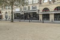 Classic Architecture: Building Facade in Paris, Europe