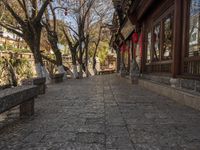 a path in an asian city in autumn with stone benches and trees, some with leaves on them