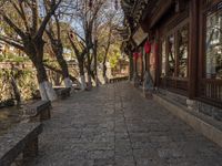 a path in an asian city in autumn with stone benches and trees, some with leaves on them