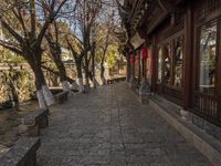 a path in an asian city in autumn with stone benches and trees, some with leaves on them