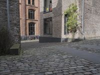 Classic Architecture in Cologne, Germany: Cobblestone Road