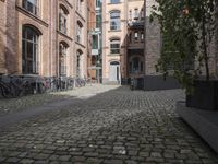 Classic Architecture in Cologne, Germany: Cobblestone Road