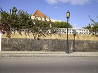 a palm tree near a stone fence in front of a house on a street corner