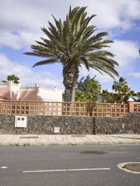 a palm tree near a stone fence in front of a house on a street corner