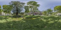 an aerial view of some trees, grass and a house in the background with a blue sky