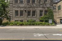 there is a tree with flowers growing in front of it on this street corner near a brick building