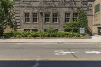 there is a tree with flowers growing in front of it on this street corner near a brick building