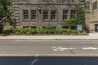 there is a tree with flowers growing in front of it on this street corner near a brick building