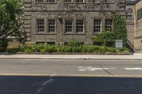 there is a tree with flowers growing in front of it on this street corner near a brick building