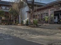 a man walks down a cobblestone street in front of a store with many plants