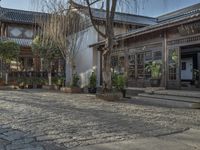 a man walks down a cobblestone street in front of a store with many plants