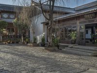 a man walks down a cobblestone street in front of a store with many plants