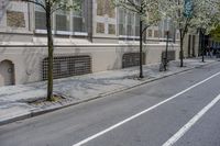 the white lines on the street near a tree line with white flowers and a bicycle leaning against a building