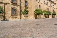 a man walks down a paved street past stone buildings and orange trees that sit on either side