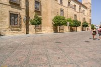 a man walks down a paved street past stone buildings and orange trees that sit on either side