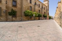 a man walks down a paved street past stone buildings and orange trees that sit on either side