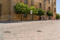 a man walks down a paved street past stone buildings and orange trees that sit on either side