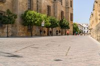 a man walks down a paved street past stone buildings and orange trees that sit on either side