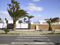 three trees, some palm trees and a white fence and wall in the background with sky