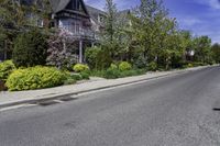 a street with several houses and many bushes along one side of the road, near trees and shrubs