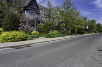 a street with several houses and many bushes along one side of the road, near trees and shrubs