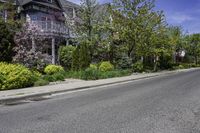 a street with several houses and many bushes along one side of the road, near trees and shrubs