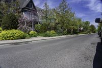 a street with several houses and many bushes along one side of the road, near trees and shrubs