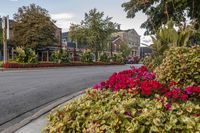 Classic Architecture in a Residential Town