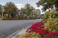 Classic Architecture in a Residential Town