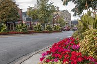 Classic Architecture in a Residential Town