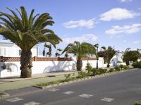 several palm trees line a road next to a small house with white walls and a metal fence in front