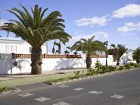 several palm trees line a road next to a small house with white walls and a metal fence in front