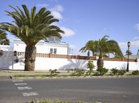 several palm trees line a road next to a small house with white walls and a metal fence in front