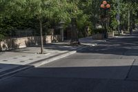 the sidewalk is empty, with two dogs sitting on the sidewalk and cars parked along the street