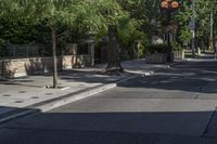 the sidewalk is empty, with two dogs sitting on the sidewalk and cars parked along the street